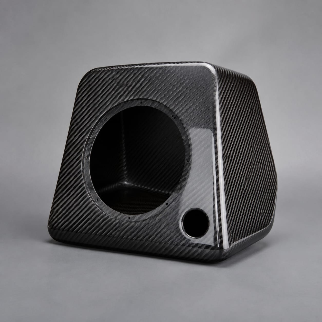 Enceinte acoustique en fibre de carbone